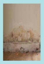 Rising damp on wall.